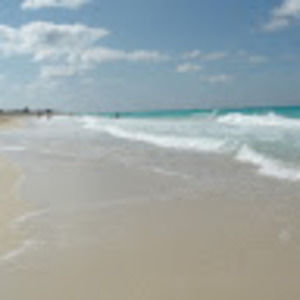 Meet your Posher, Abbey